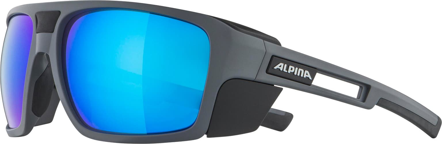 Alpina Alpina SKYWALSH Q P Sportbrille gris-fonce 2