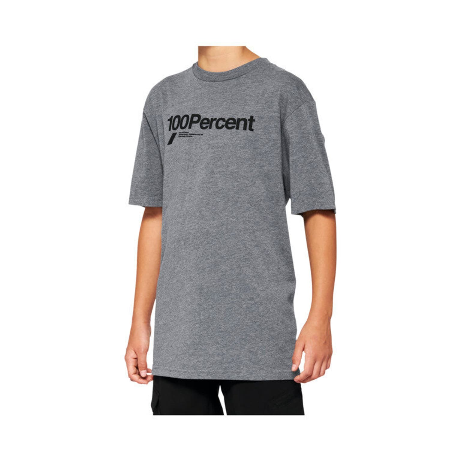 100% 100% Manifesto Youth T-Shirt grigio-chiaro 1