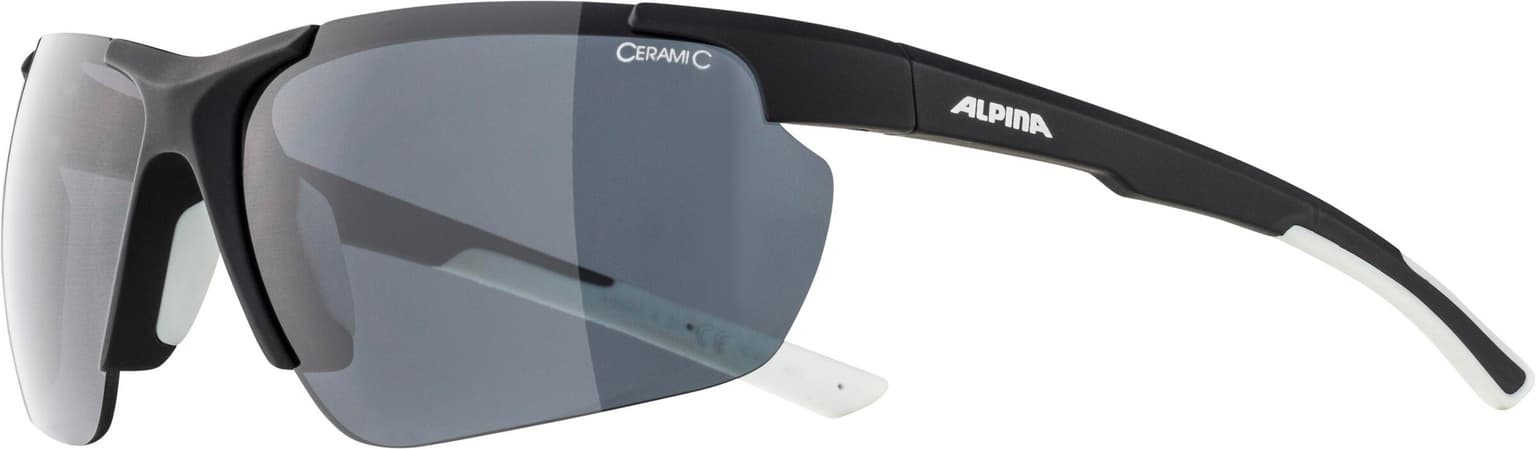 Alpina Alpina Defey HR Sportbrille schwarz 2