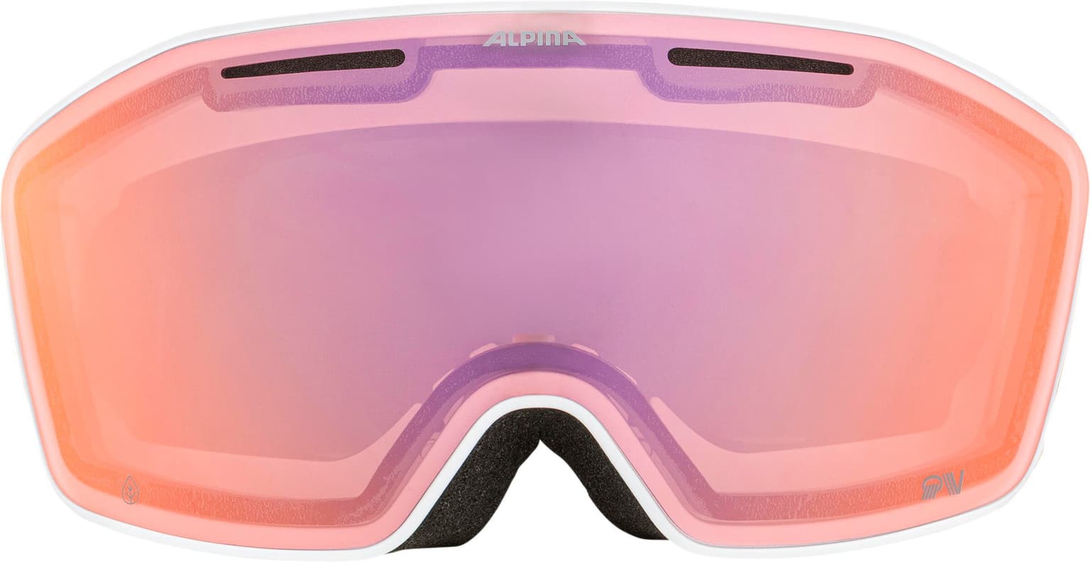 Alpina Alpina NENDAZ QV Masque de ski blanc 2
