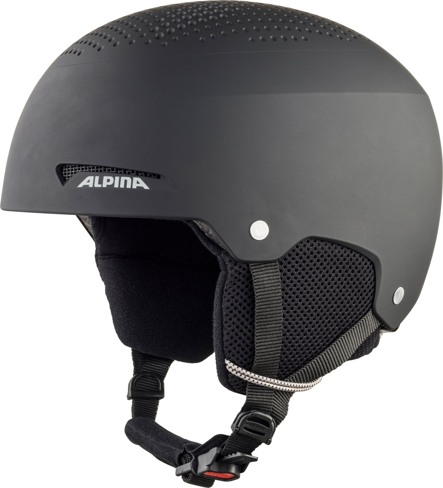 Alpina ZUPO Casque de ski charbon 1