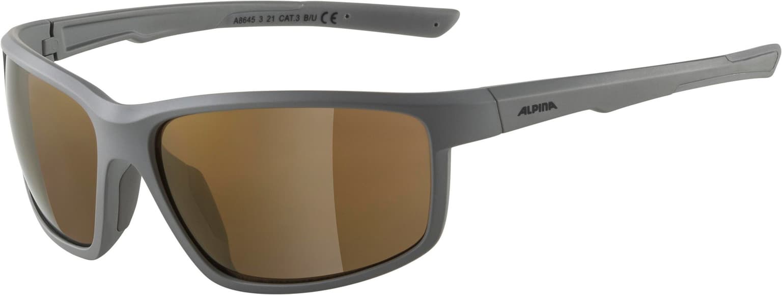 Alpina Alpina Defey Sportbrille gris 1