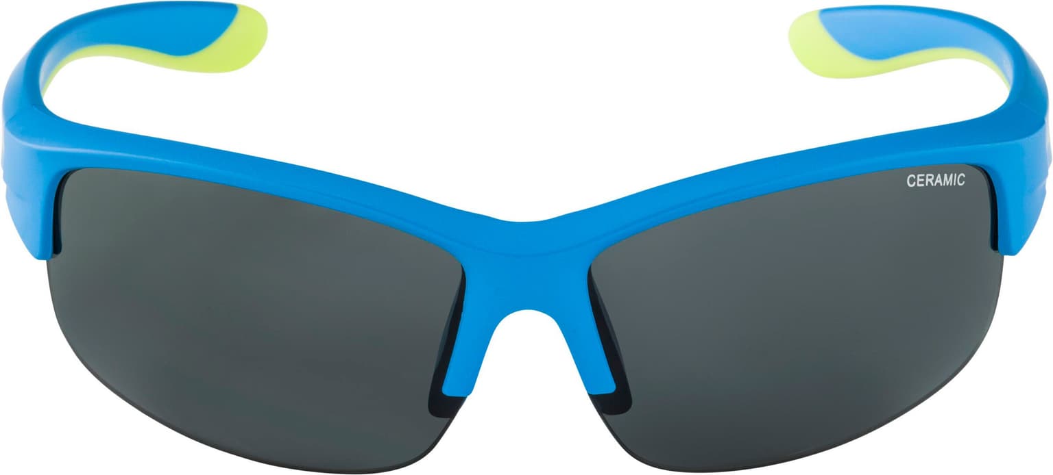 Alpina Alpina Flexxy Youth HR Sportbrille blau 2
