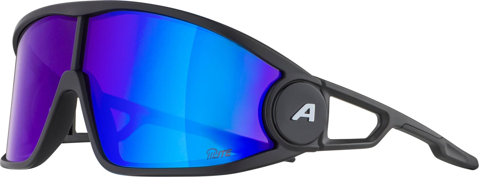 Alpina Alpina LEGEND Q-LITE Occhiali sportivi nero 2