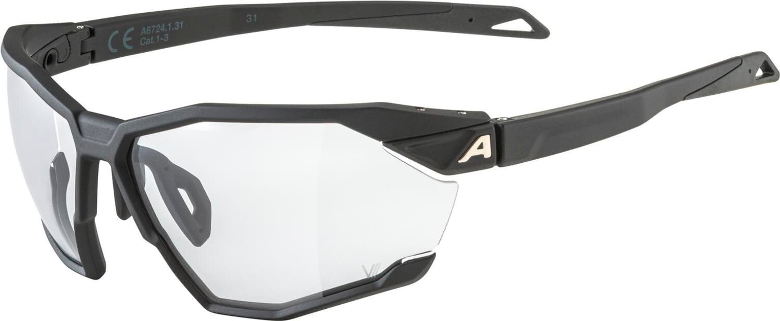 Alpina Alpina TWIST SIX V Sportbrille schwarz 1