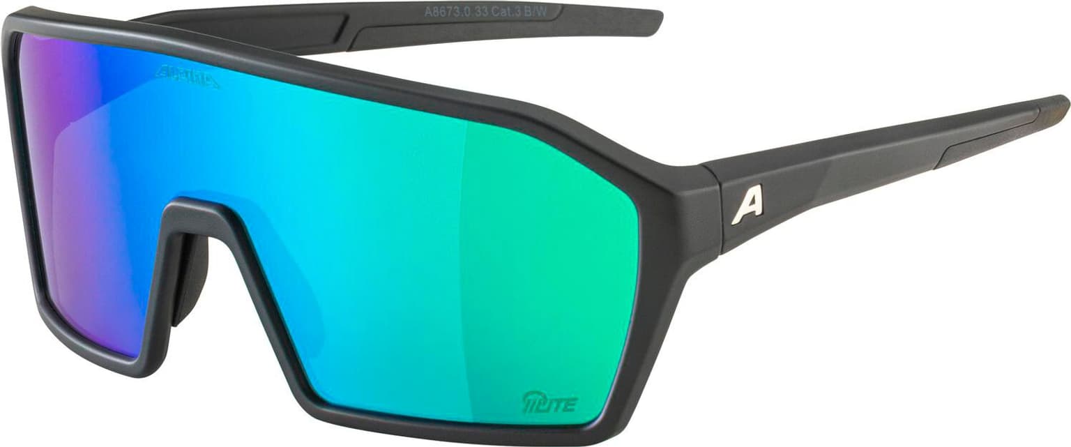 Alpina Alpina Ram Q-Lite Sportbrille royal 1
