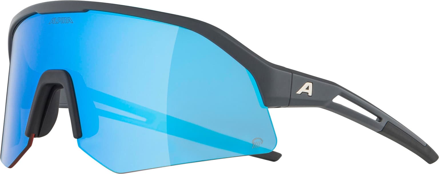 Alpina Alpina SONIC HR Q (POL) Sportbrille grau 3