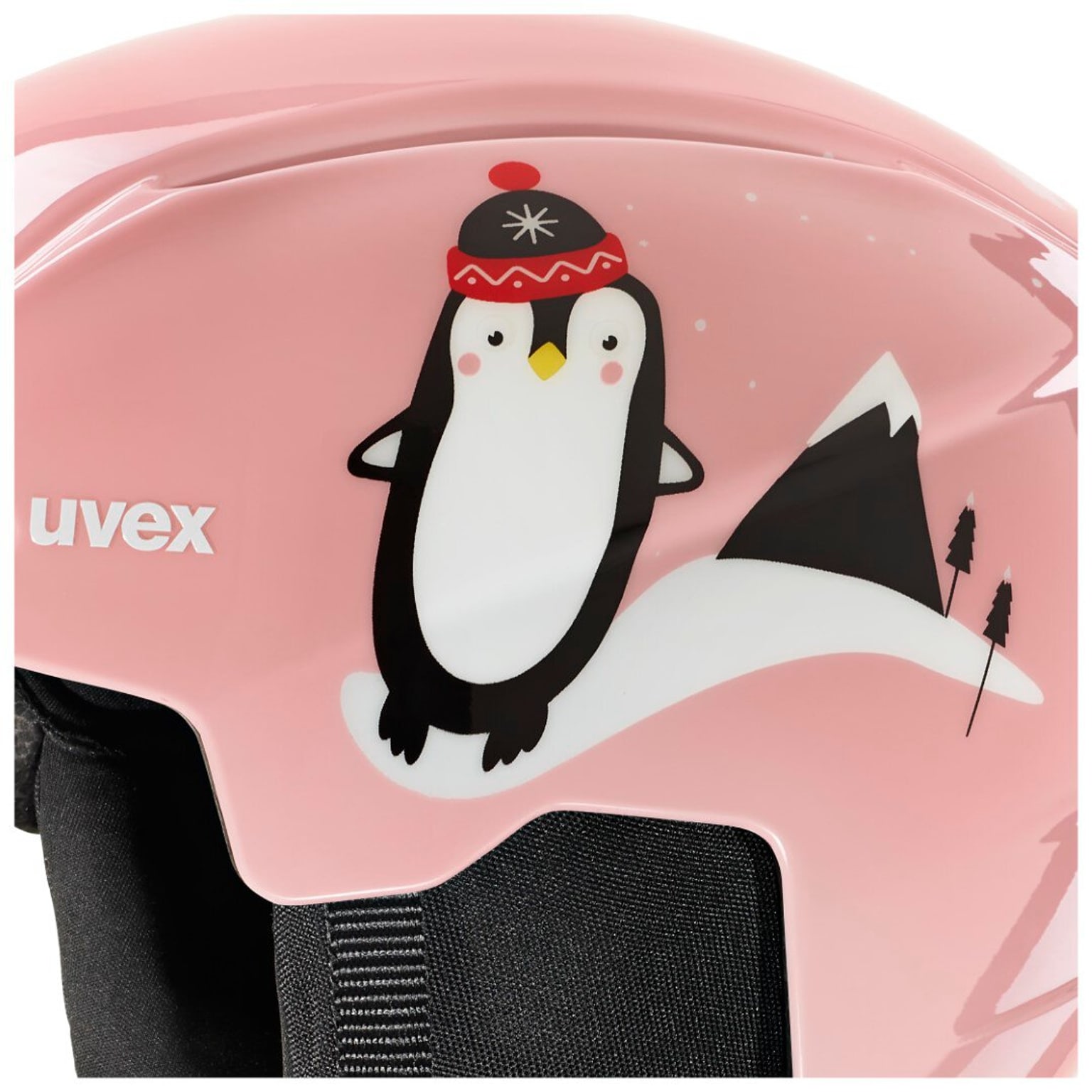 Uvex Uvex viti set Casco da sci salmone 4