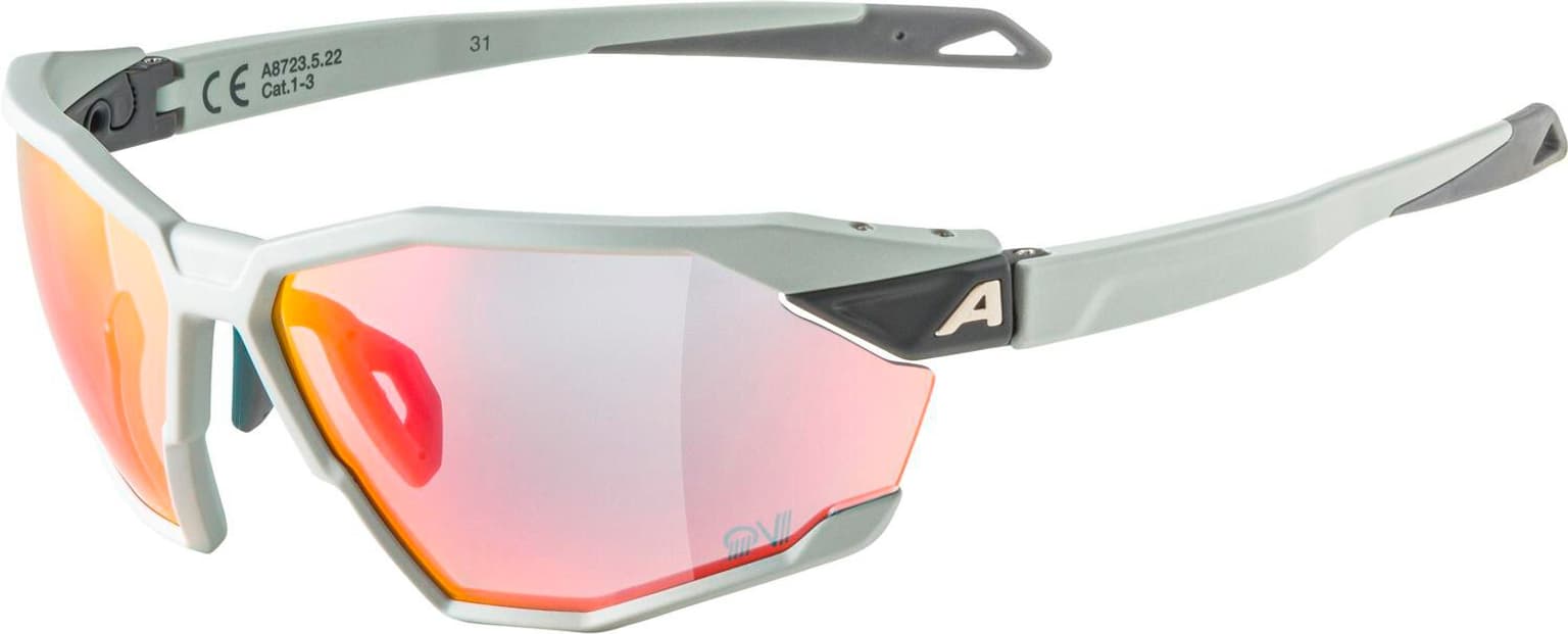 Alpina Alpina TWIST SIX QV Sportbrille cemento 1