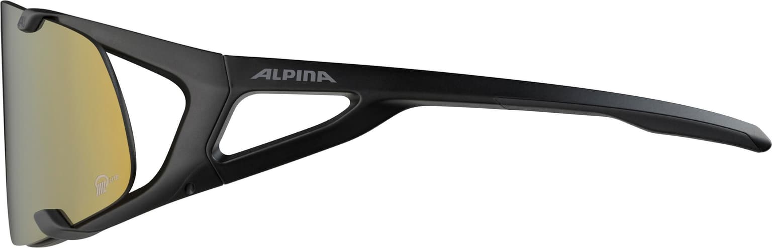 Alpina Alpina Hawkeye S Q-Lite Lunettes de sport noir 4