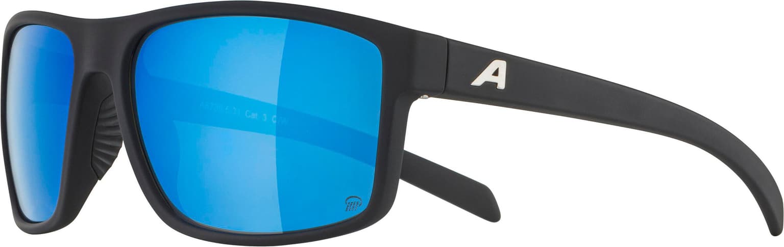 Alpina Alpina NACAN I P Sportbrille noir 3
