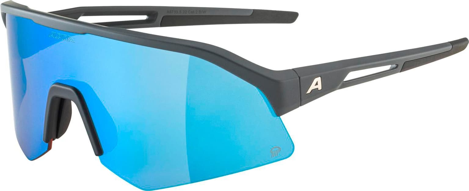 Alpina Alpina SONIC HR Q (POL) Sportbrille grau 1