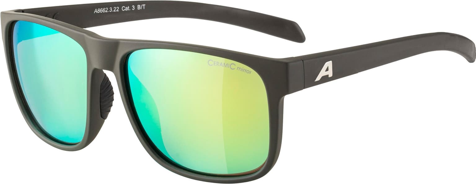 Alpina Alpina NACAN III Sportbrille gris-fonce 1