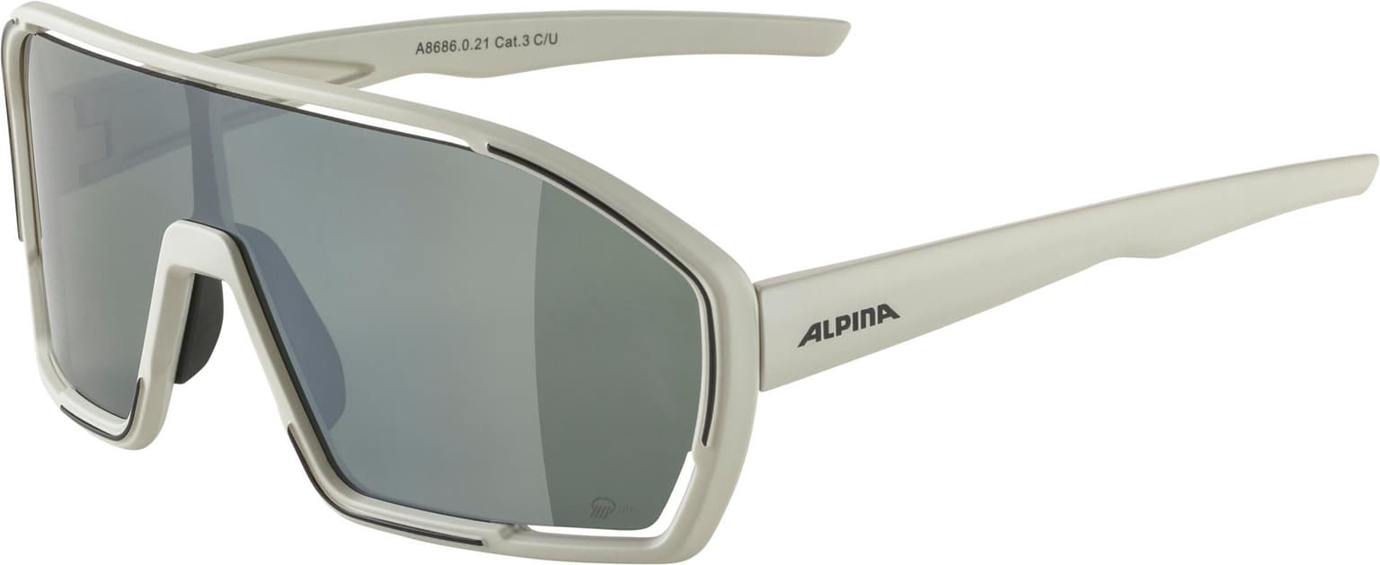 Alpina Alpina Bonfire Q-Lite Sportbrille grau 1