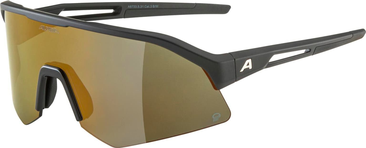 Alpina Alpina SONIC HR Q (POL) Sportbrille schwarz 1