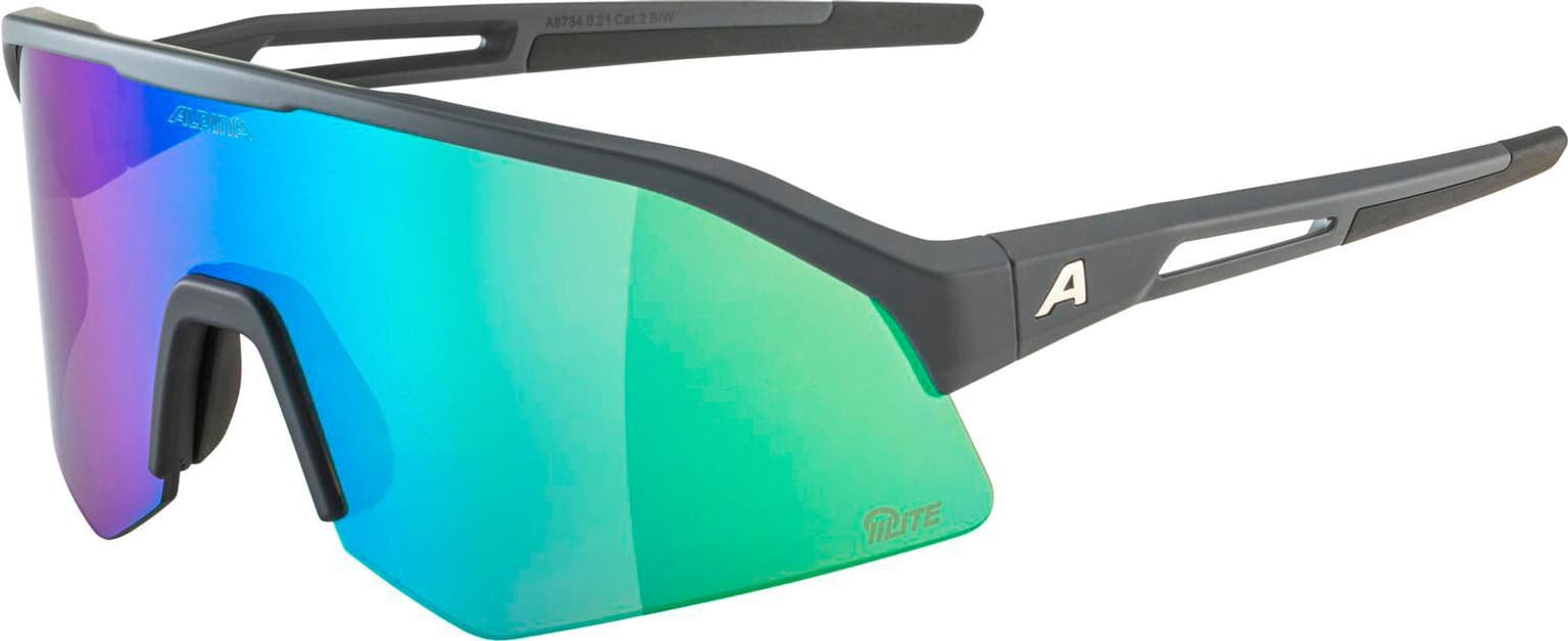 Alpina Alpina SONIC HR Q-LITE Sportbrille grau 1