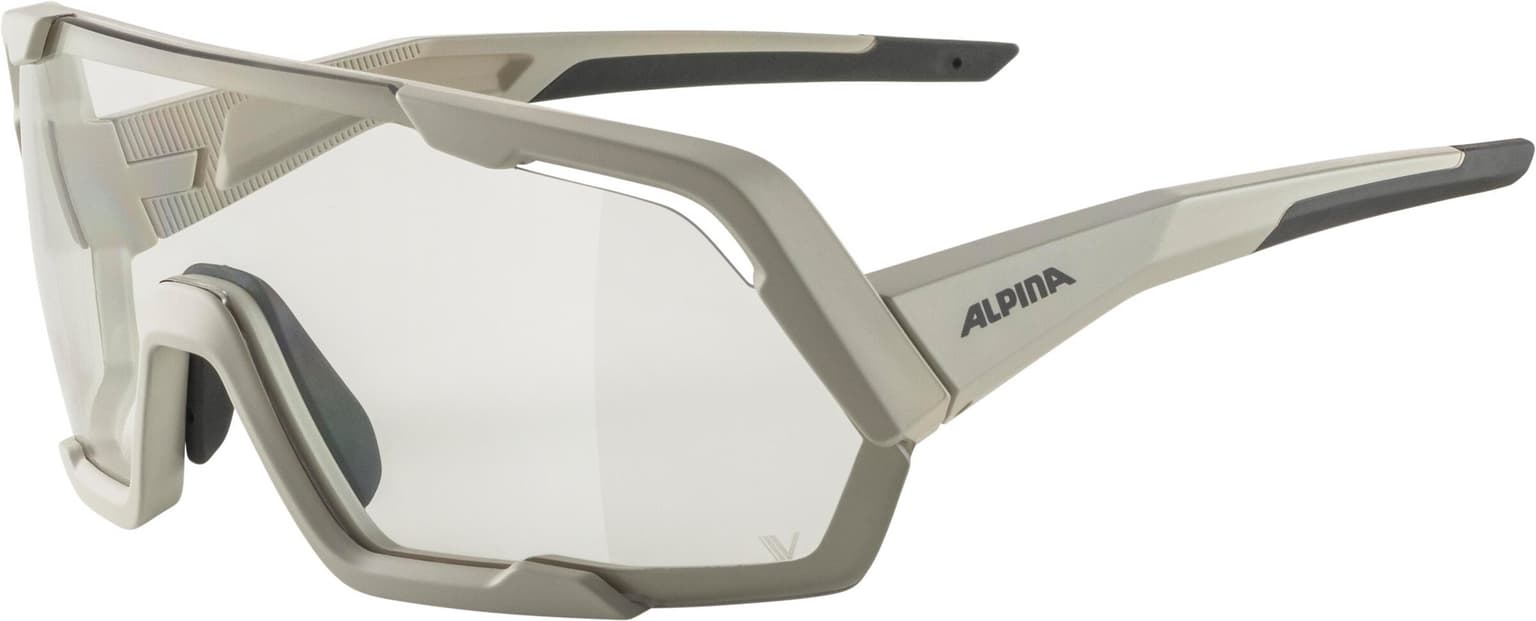 Alpina Alpina Rocket V Sportbrille grau 1