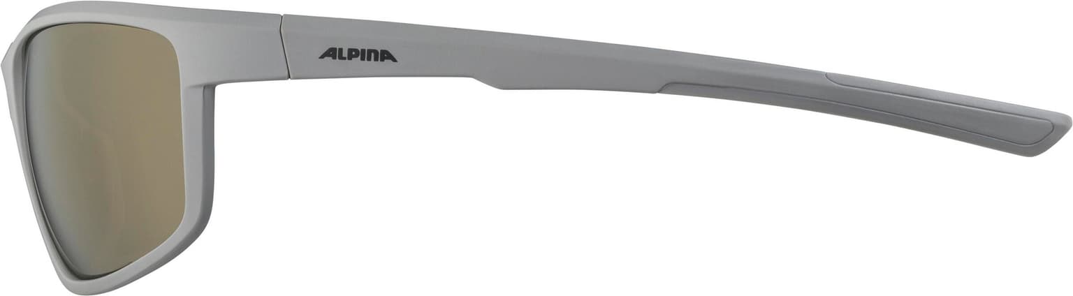 Alpina Alpina Defey Sportbrille grau 4