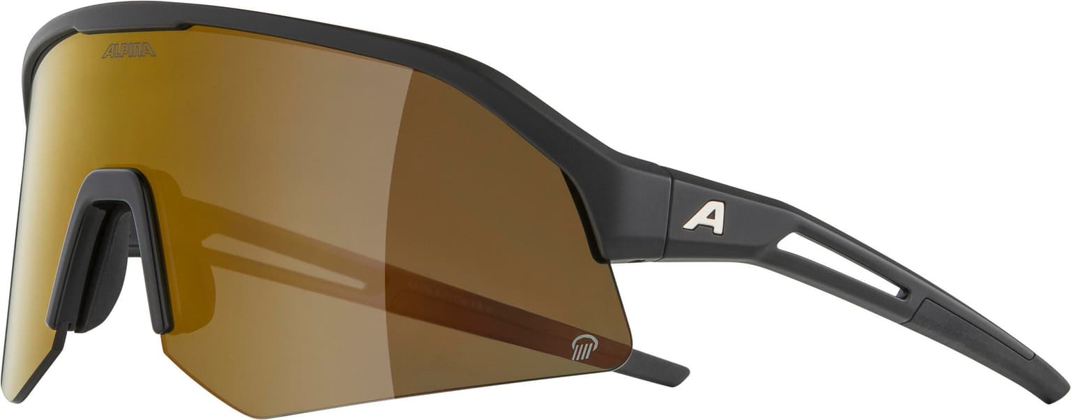 Alpina Alpina SONIC HR Q (POL) Sportbrille schwarz 3