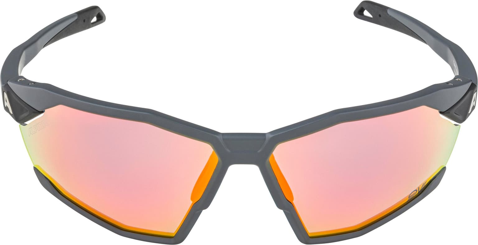 Alpina Alpina TWIST SIX QV Sportbrille gris-fonce 3