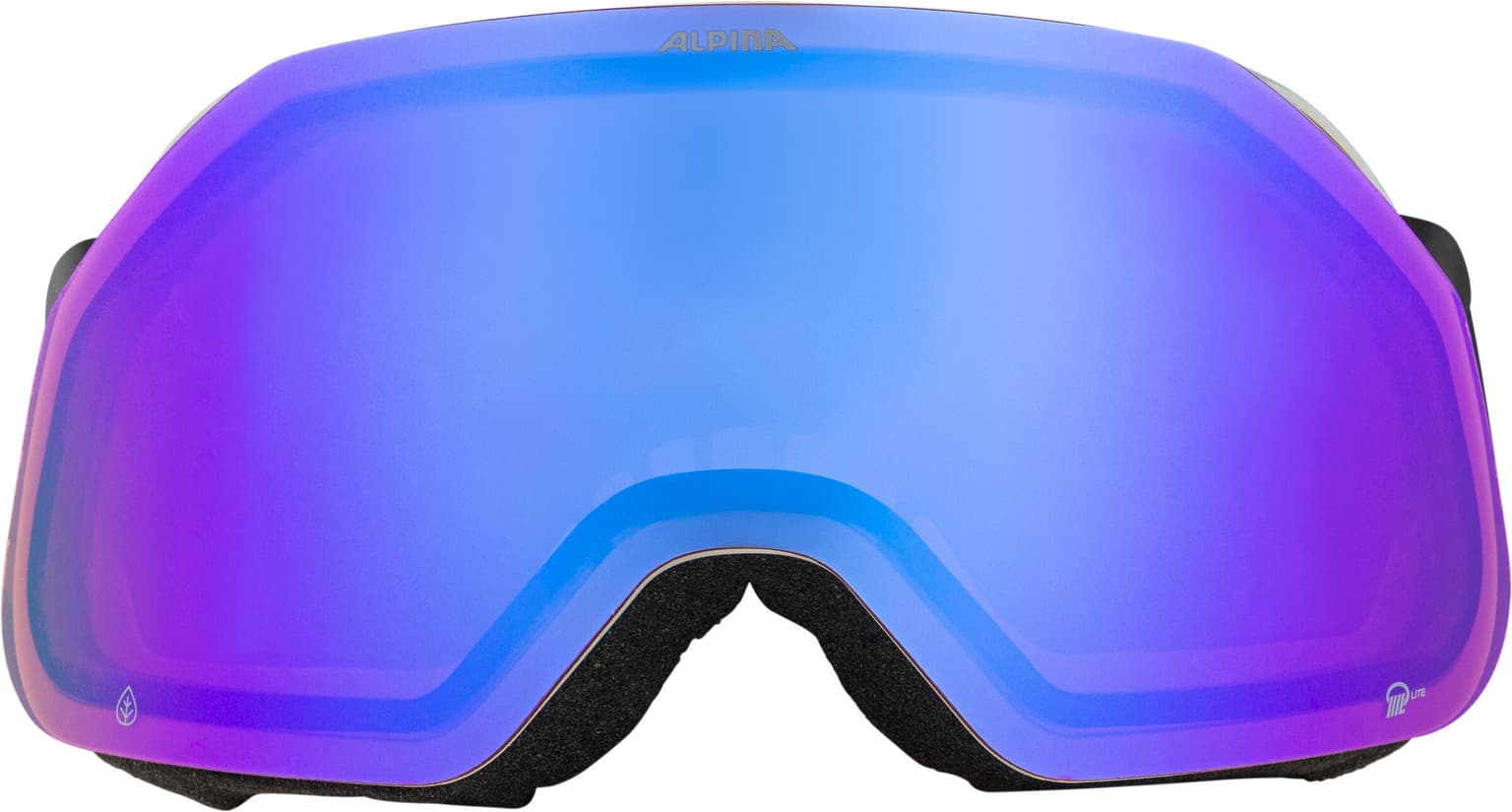 Alpina Alpina Blackcomb Q-Lite Masque de ski gris 2