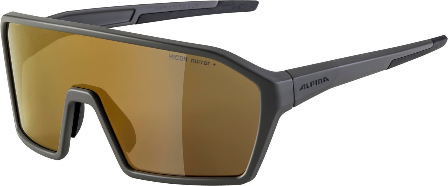 Alpina Alpina Ram Q-Lite Sportbrille grau 1