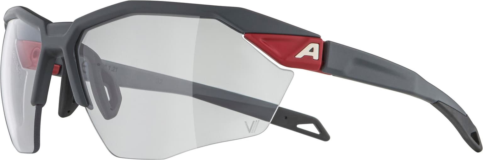 Alpina Alpina TWIST SIX S HR V Sportbrille grau 2