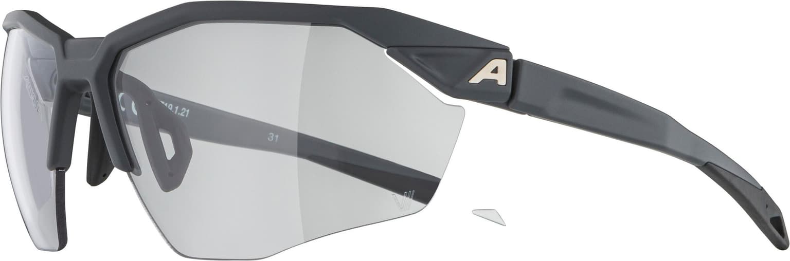 Alpina Alpina TWIST SIX HR V Sportbrille antracite 2