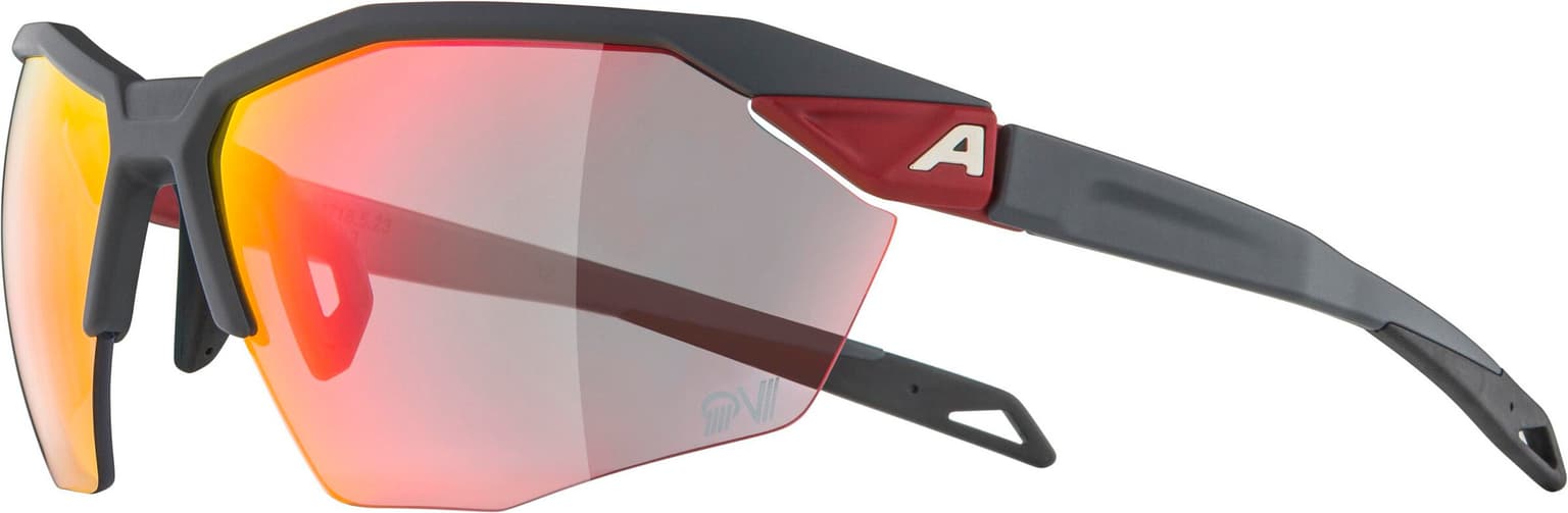 Alpina Alpina TWIST SIX HR QV Sportbrille rouge-fonce 2
