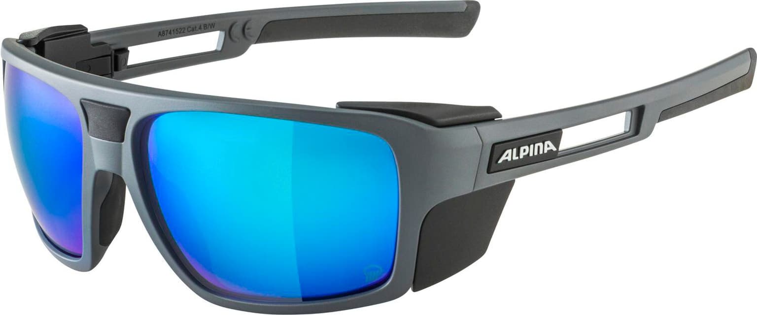 Alpina Alpina SKYWALSH Q P Occhiali sportivi grigio-scuro 1