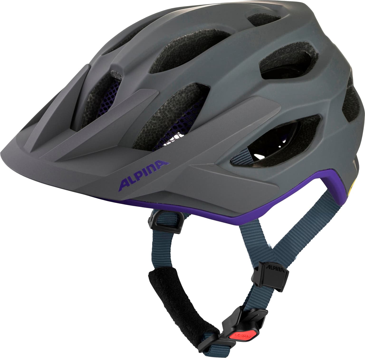 Alpina Alpina Apax Mips Casco da bicicletta grigio-scuro 1