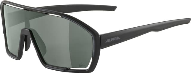 alpina Bonfire Q-Lite Sportbrille schwarz