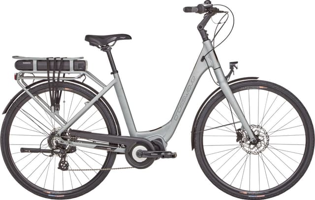 crosswave Comfort-Wave Bicicletta elettrica 25km/h grigio-chiaro