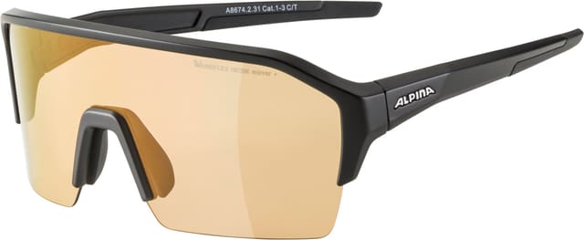 alpina Ram HR Q-Lite V Sportbrille schwarz