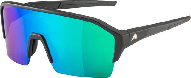 alpina Ram HR Q-Lite Sportbrille schwarz