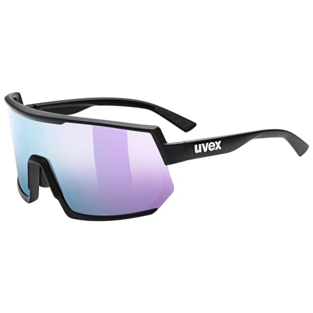 uvex Allround Sportbrille kohle