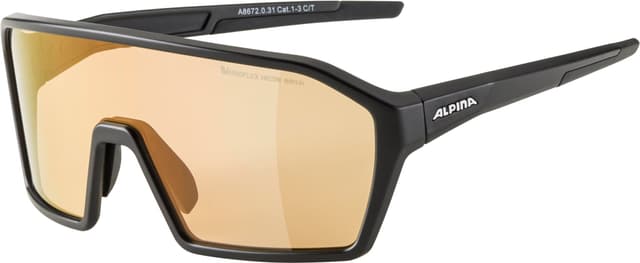 alpina Ram Q-Lite V Sportbrille schwarz