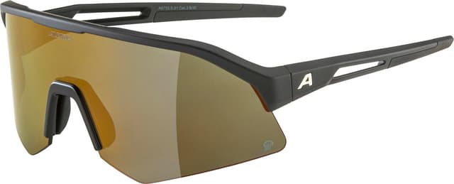 alpina SONIC HR Q (POL) Sportbrille schwarz