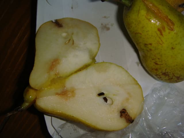 DSC07622.JPG
