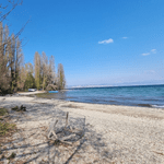LaCrevette