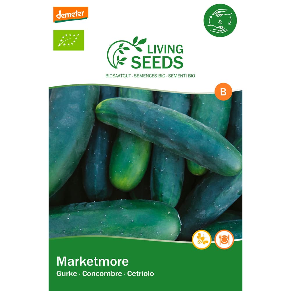 Gurke Marketmore Erfahrung