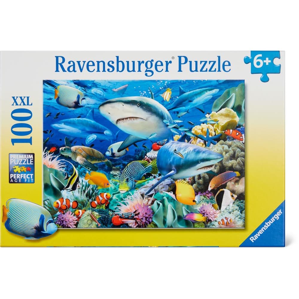 Acquista RVB 3D Puzzle portapenne ass. • Migros