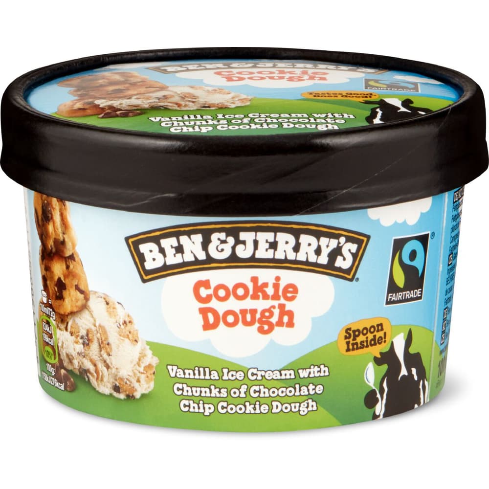 Ben Jerry Chocolate Chip cookie Dough