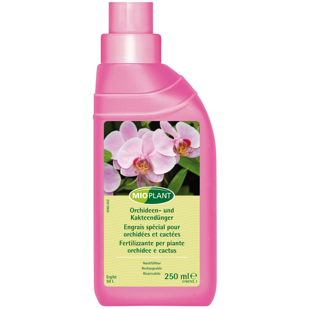 Seme Prato TURBO Crescita Rapidissima FLORTIS