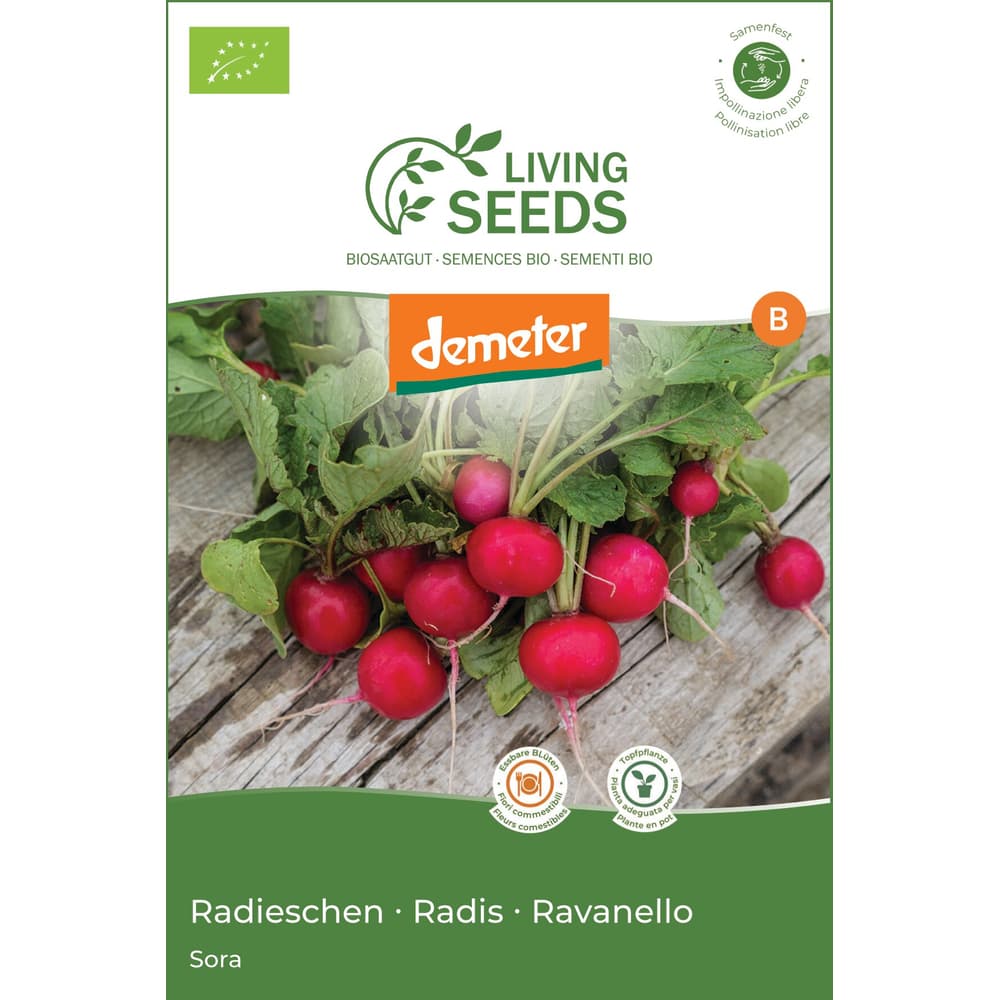 Ravanello Sora • Migros