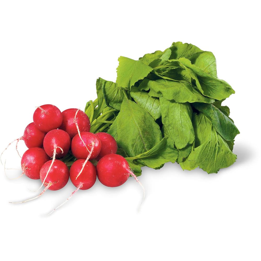 Kaufen Bio Radieschen • Migros