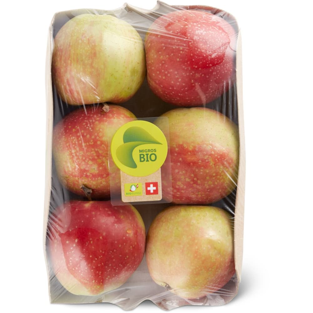 BIO Pommes suisses, 12kg env