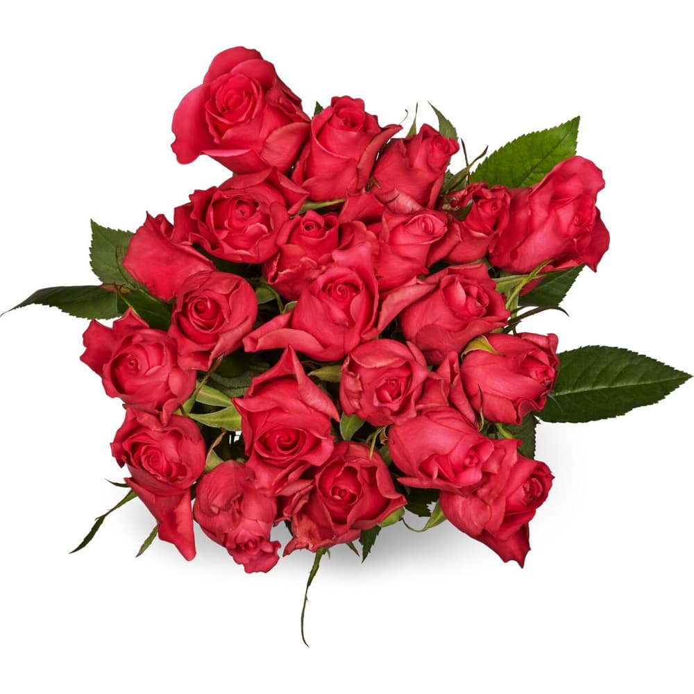 Achat Mini-roses M-Classic, Fairtrade, le bouquet de 20, longueur de la  tige 40 cm • Migros