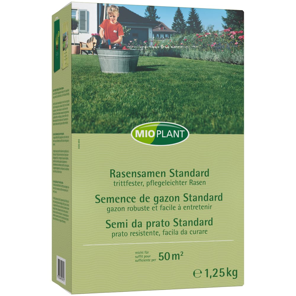 Wieviel Rasensamen Pro M2