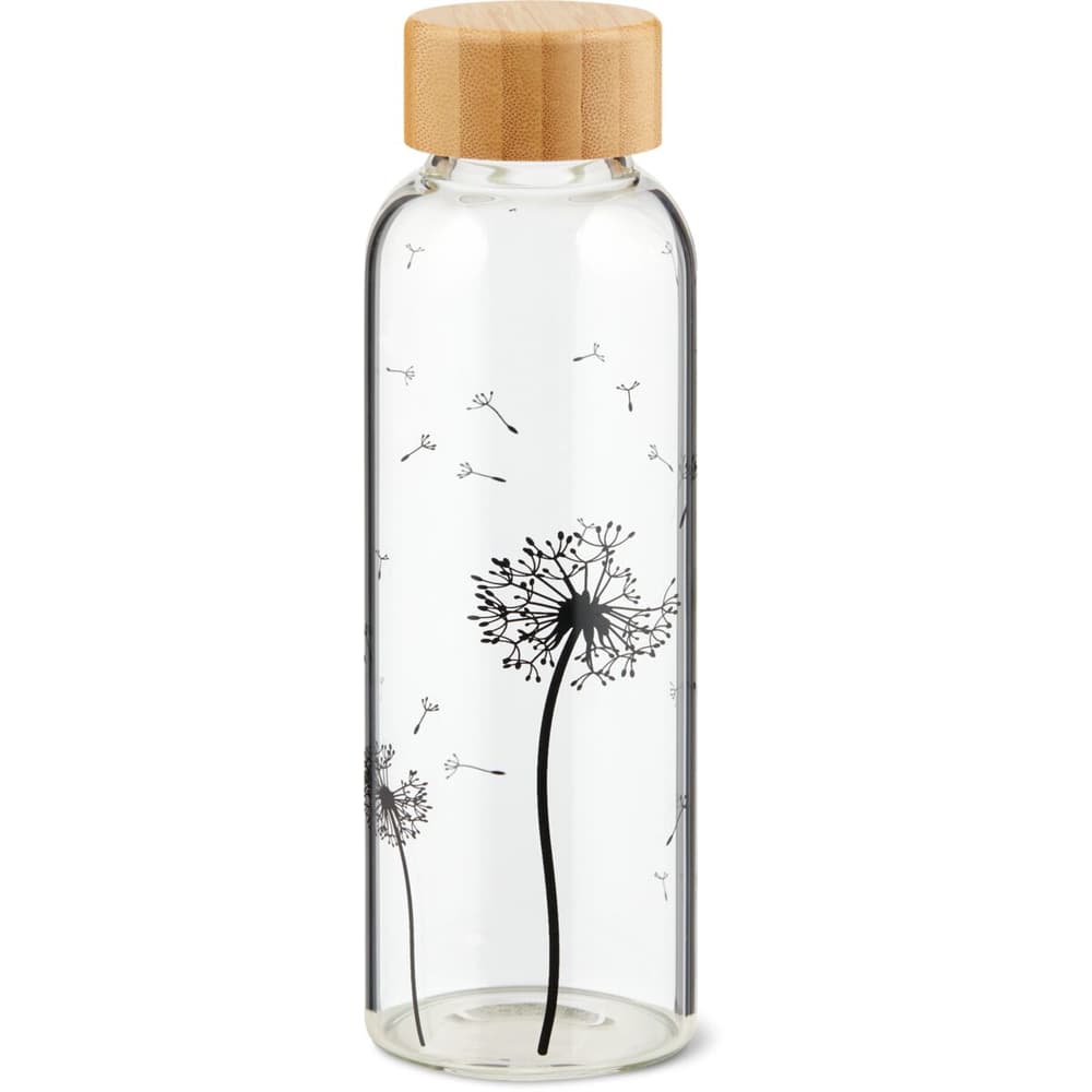 Young21 Mini Vaso di Vetro Trasparente di Colore Zakkz Fiore Bottiglia
